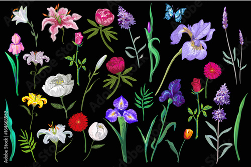 Fototapeta Naklejka Na Ścianę i Meble -  Vector big amazing set of lovely flowers in pastel colors on black background