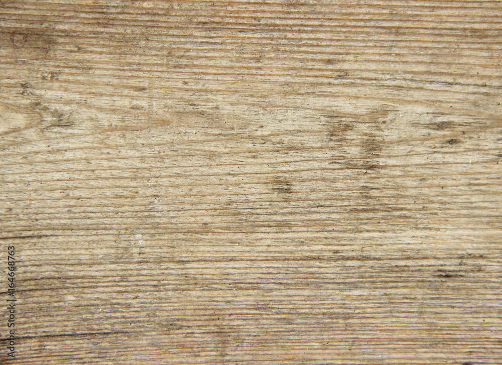 Fototapeta premium Wooden texture