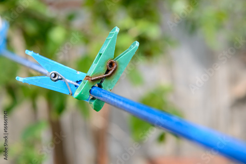 Clothespins on a rope