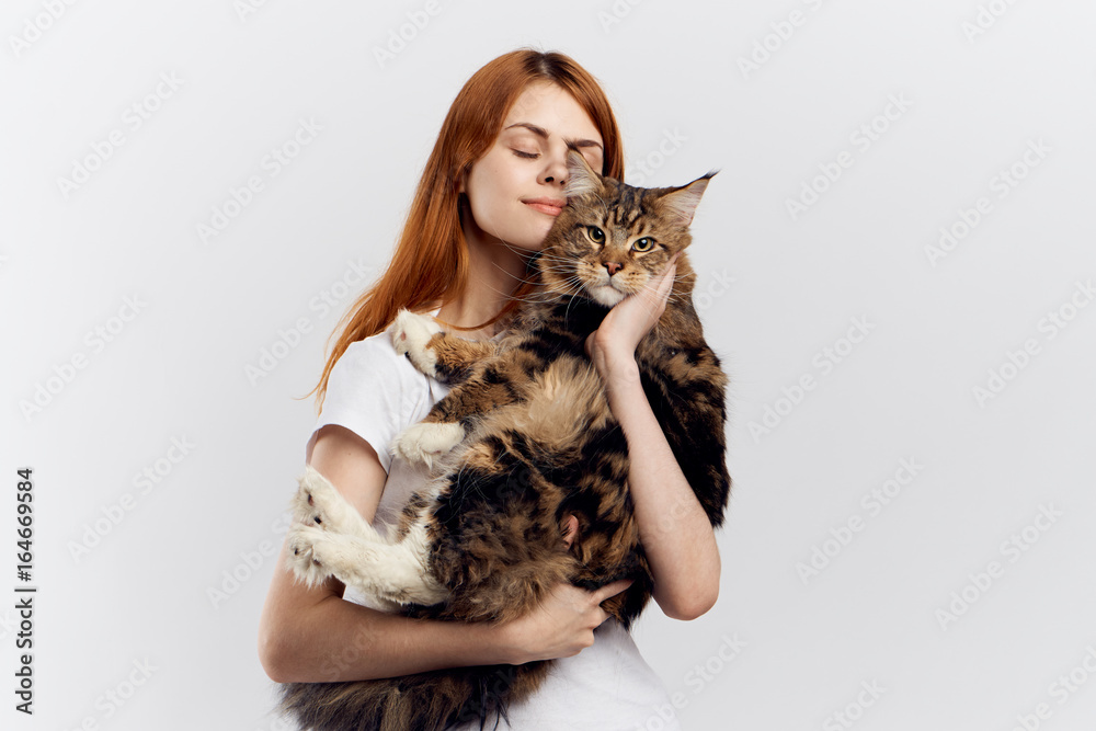 Fototapeta Beautiful young woman on a light background holds a cat