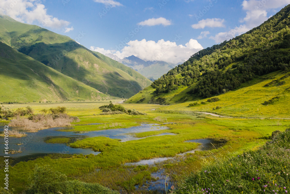 Green Caucasus mountains summer landscape