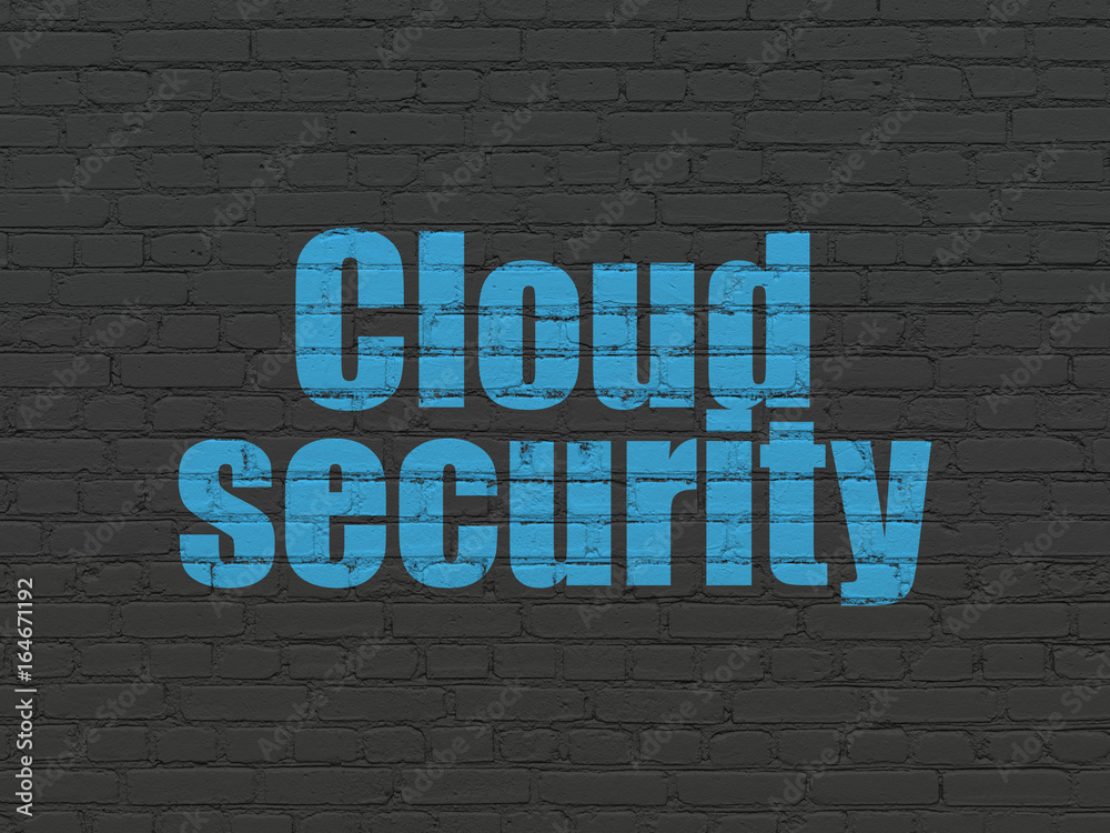 Obraz premium Privacy concept: Cloud Security on wall background