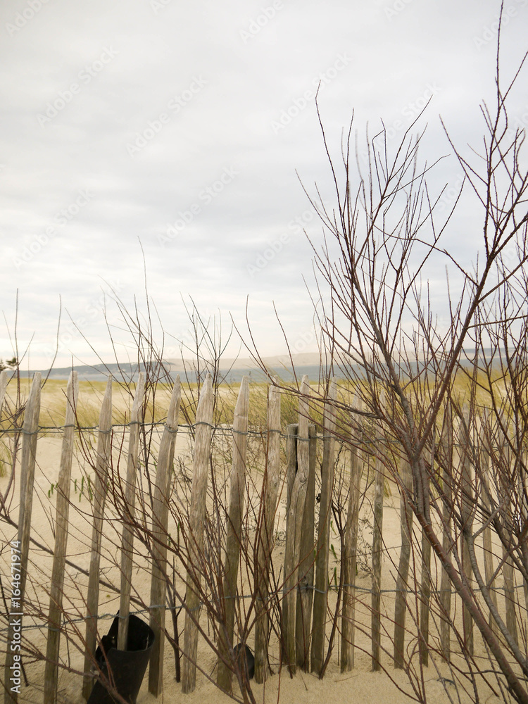 Obraz premium Plage de sable