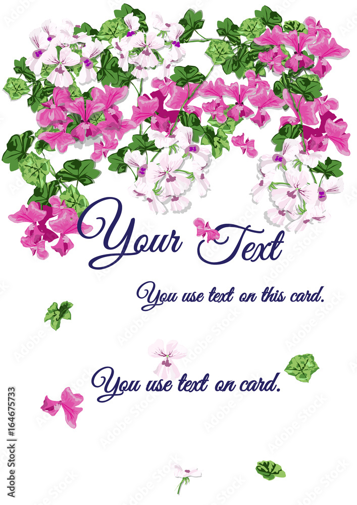 Geranium card design. Blue text on flower ivy background is vector. Geranium card design. Blue text on flower ivy background is vector.