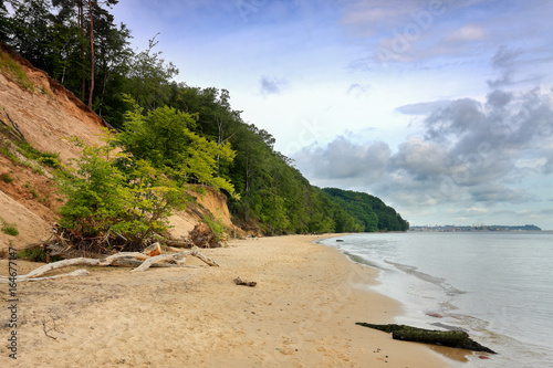 Fototapeta Naklejka Na Ścianę i Meble -  Kaszuby-Kępa Redłowska