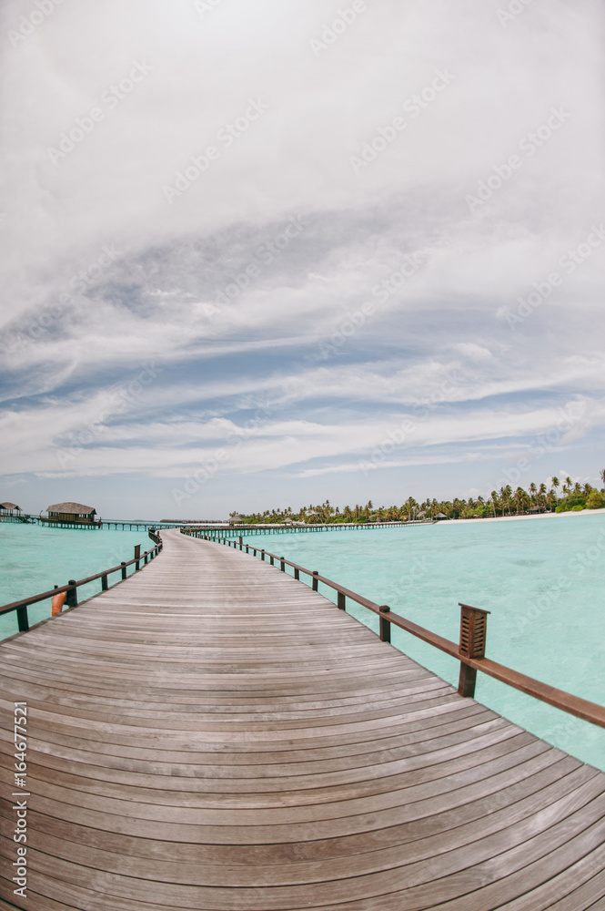 Beautiful white beach with palm trees in the Maldives