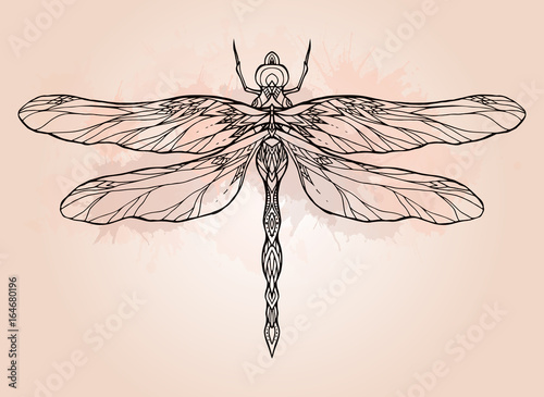 Black and white dragonfly illustration with boho pattern and watercolor splash. Vector element for sketching tattoos, printing on T-shirts, postcards and your creativity