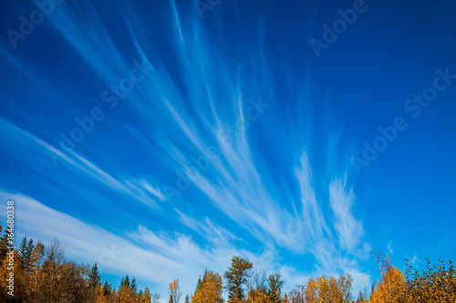 Cirrus clouds in Park photo