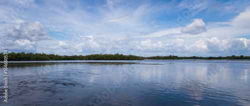 Summer Landscape, J.N. ''Ding'' Darling National Wildlife Refuge, Sanibel Island, Florida, USA