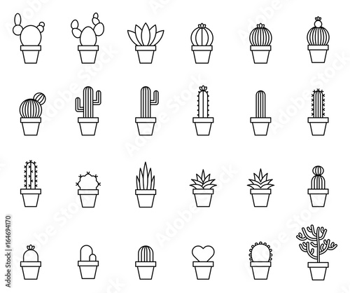 Cactus Outline Icons