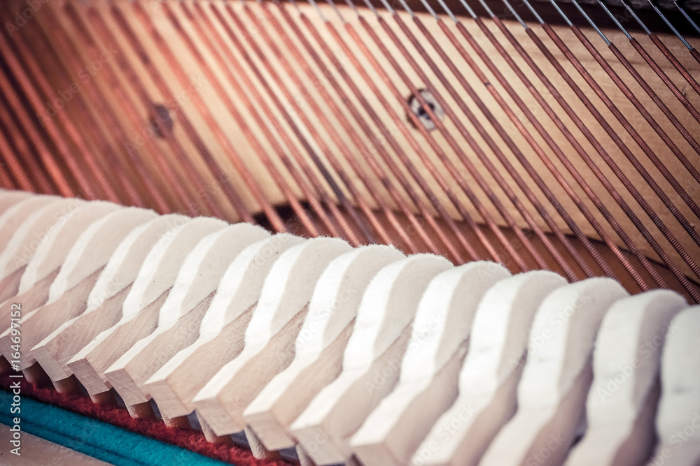 Fototapeta premium a look into the inside of a piano 