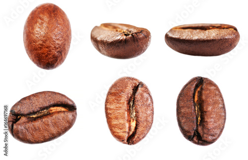 Coffee beans collection Isolated on white background, closeup, macro .