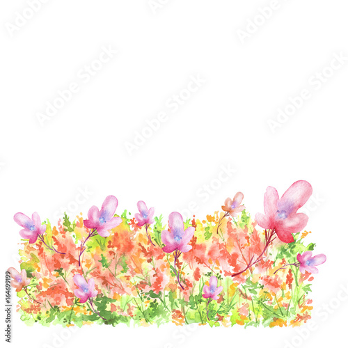 Watercolor postcard  card  illustration. With a picture of flowers  grasses  plants  a watercolor border for design.