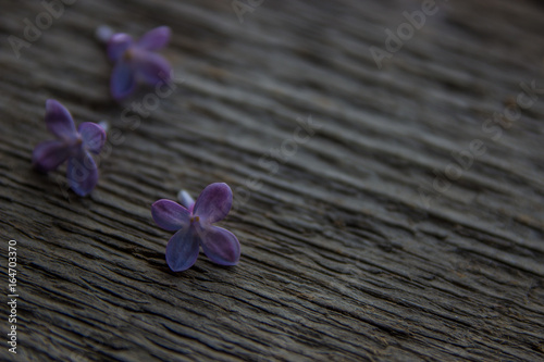 Lilac flowers close up. Old wooden texture