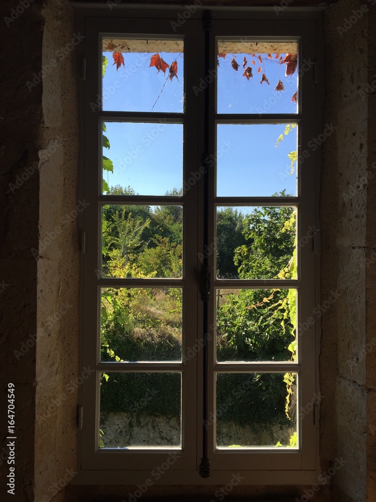 Fototapeta premium Chambre avec vue