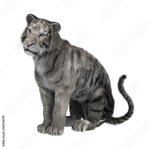 Fototapeta Naklejka Na Ścianę i Meble -  3D Rendering White Tiger on White