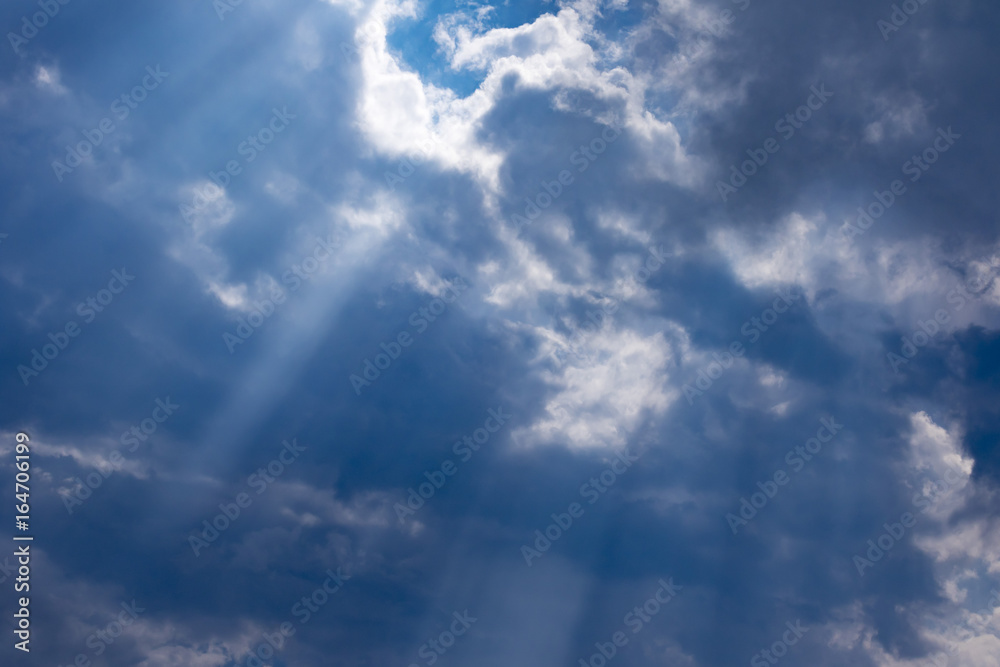 Obraz premium 雨上がり