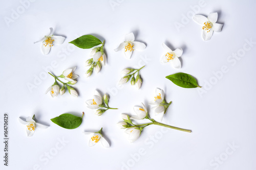 Set of jasmine flowers on white background