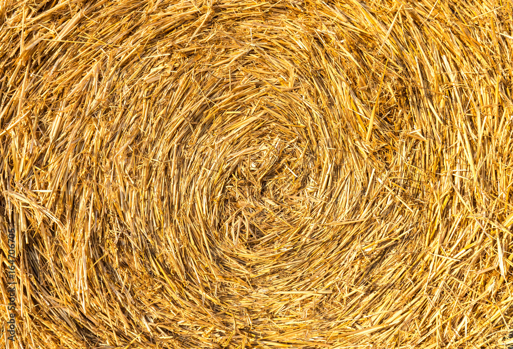 Detail of a round straw bale in sunlight Detail of a round straw bale in sunlight