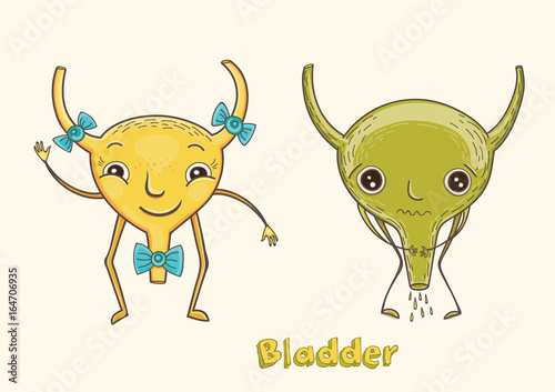 Cartoon character human bladder