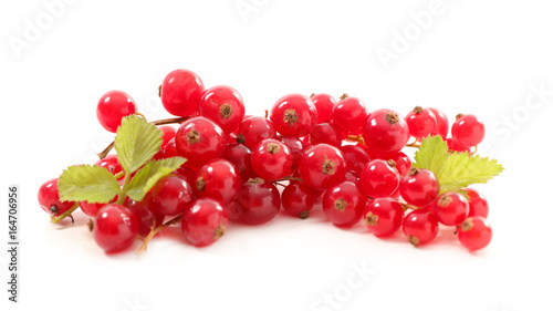 Canvas Print redcurrant isolated on white