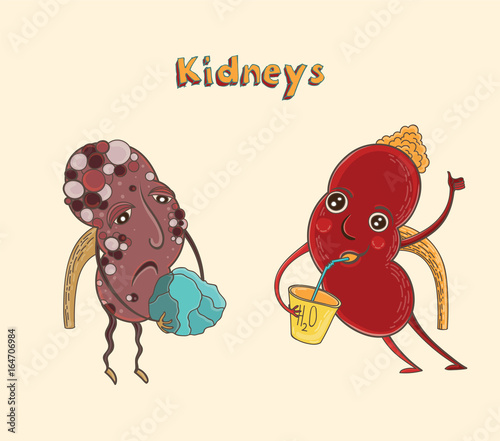 Cartoon character human kidneys