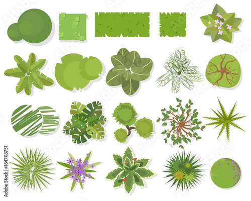 Trees top view.Different trees, plants  vector set for architectural or landscape design.Landscaping symbols set isolated on white