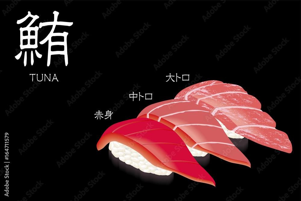 マグロ3種 赤身 トロ 大トロ の寿司のイラスト 握り寿司 Stock Vector Adobe Stock