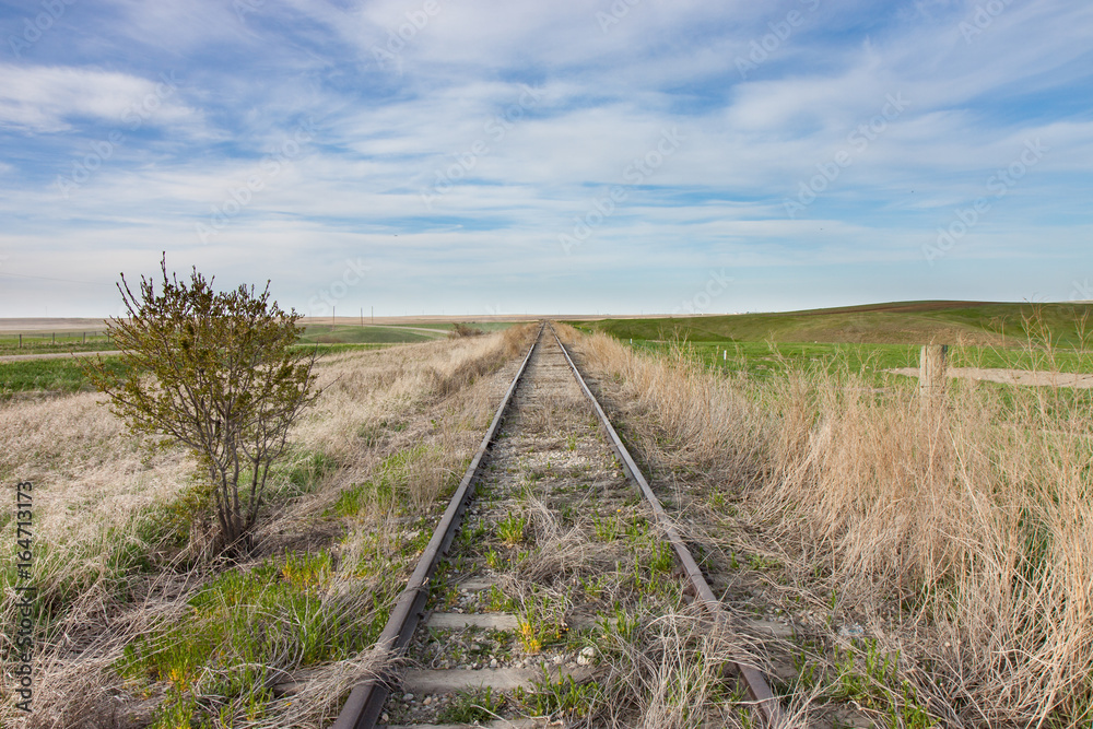 Empty Overgrown Railway Tracks in Canadian Prairie