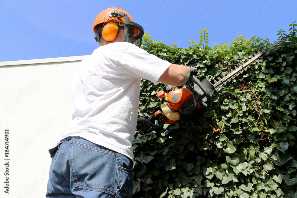 Foto de Gartenbau Hecken und Baumschnitt mit Kettensäge do Stock