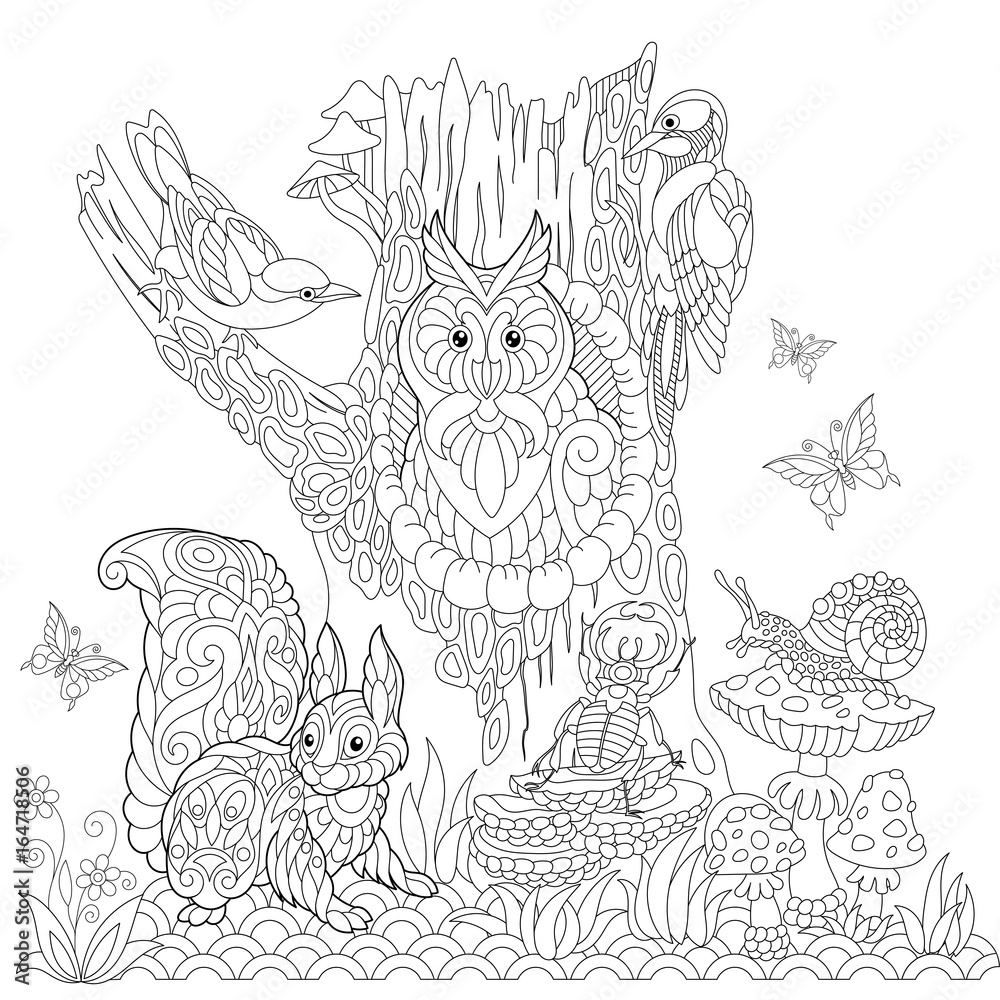 Fototapeta premium Coloring book page of forest landscape, owl, cuckoo bird, woodpecker, squirrel, snail, stag beetle, butterflies. Freehand drawing for adult antistress colouring with doodle and zentangle elements.