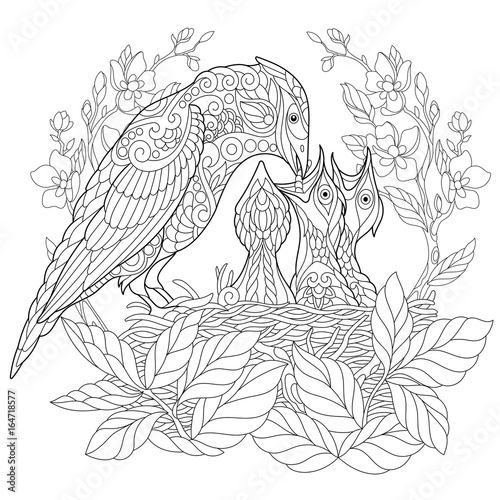 Coloring book page of jay bird feeding its newborn nestlings. Freehand sketch drawing for adult antistress colouring with doodle and zentangle elements.
