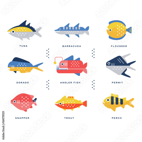 Collection of sea and river fish and lettering name in English vector Illustrations