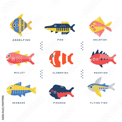 Collection of sea and ocean fish and lettering name in English vector Illustrations