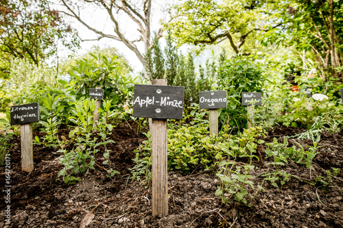 Tableau sur toile Kräutergarten