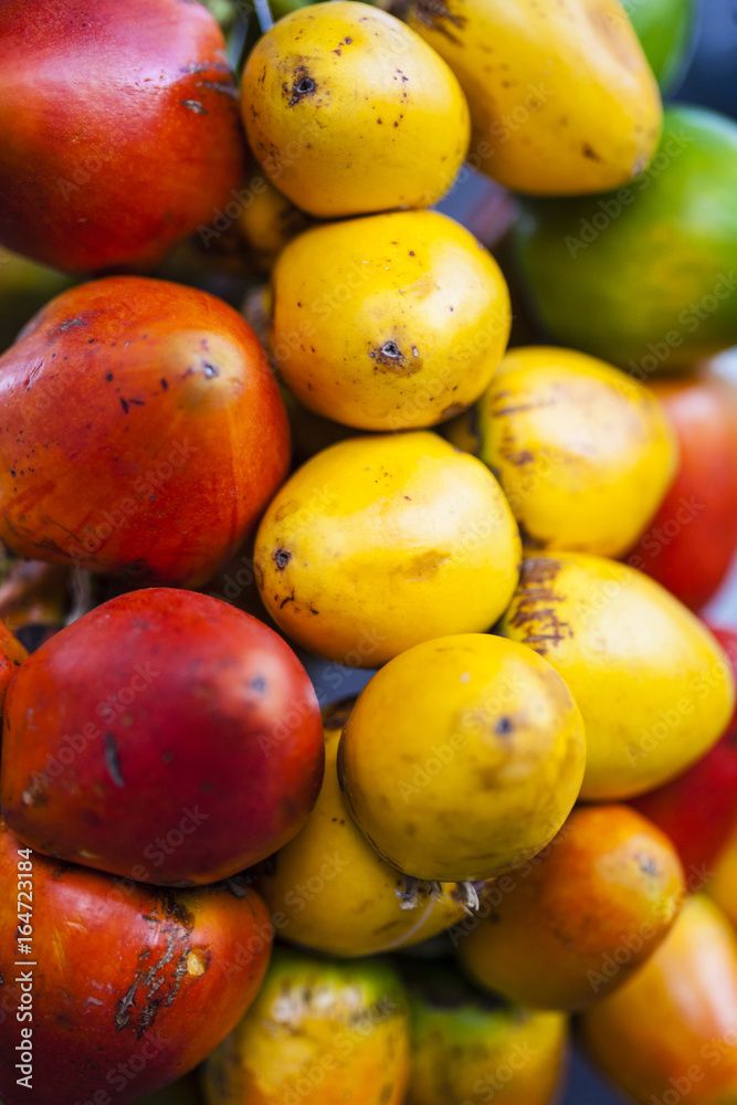 Exotic tropical fruit called chontaduro (Bactris gasipaes) Exotic tropical fruit called chontaduro (Bactris gasipaes)