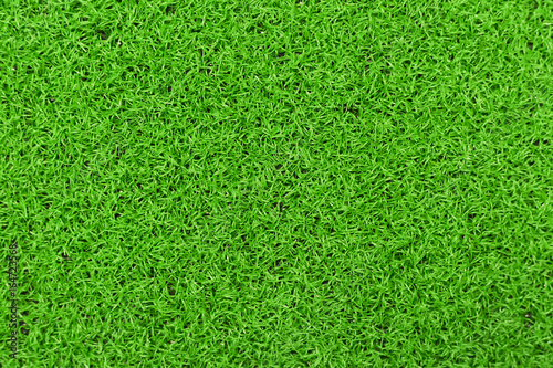 Background of a green grass. Green grass texture Green grass texture from a field