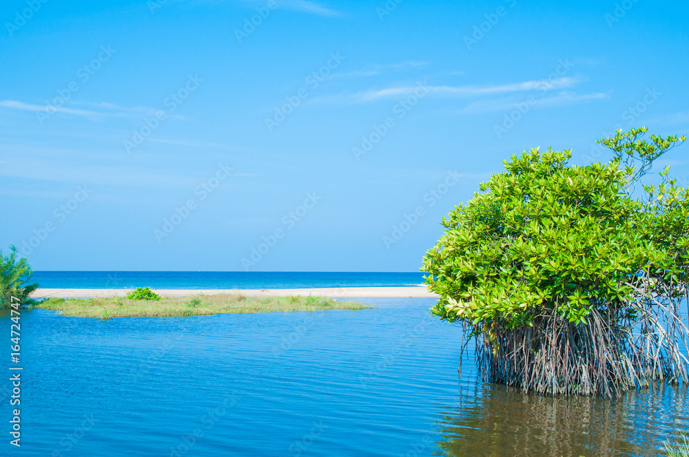 Tropical paradise beach with palm (coconut) tree in Phu Quoc island, Vietnam. Tropical paradise beach with palm (coconut) tree in Phu Quoc island, Vietnam.