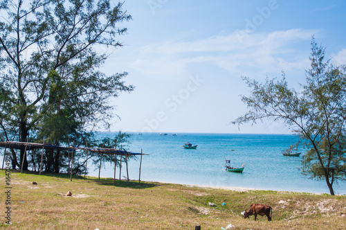 Fototapeta Naklejka Na Ścianę i Meble -  Tropical paradise beach with palm (coconut) tree in Phu Quoc island, Vietnam.