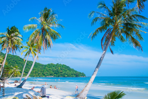 Tableau sur toile Tropical paradise beach with palm (coconut) tree in Phu Quoc island, Vietnam