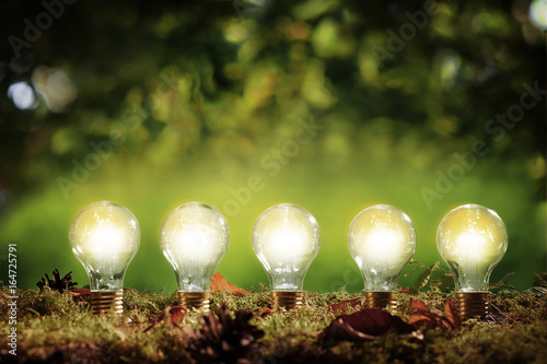 Bilde på lerret Five glowing eco friendly efficient light bulbs