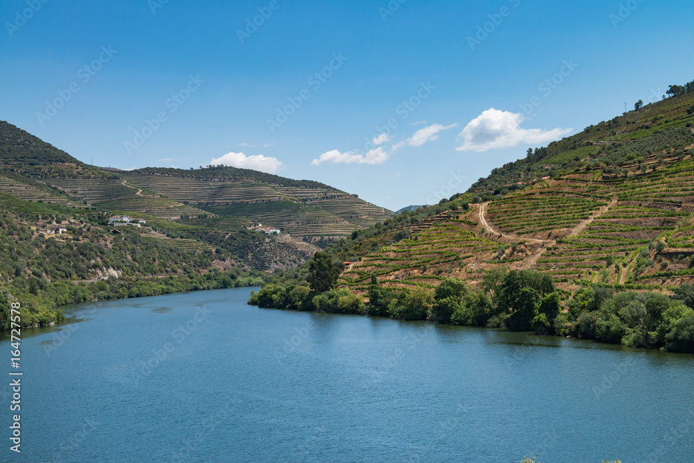 Point of view shot from historic train in Douro region, Portugal. Features a wide view of terraced vineyards in Douro Valley, Alto Douro Wine Region in northern Portugal.