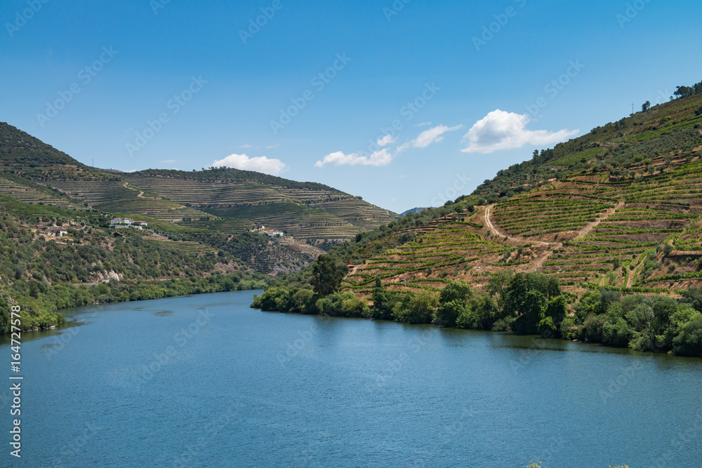 Fototapeta premium Point of view shot from historic train in Douro region, Portugal. Features a wide view of terraced vineyards in Douro Valley, Alto Douro Wine Region in northern Portugal.