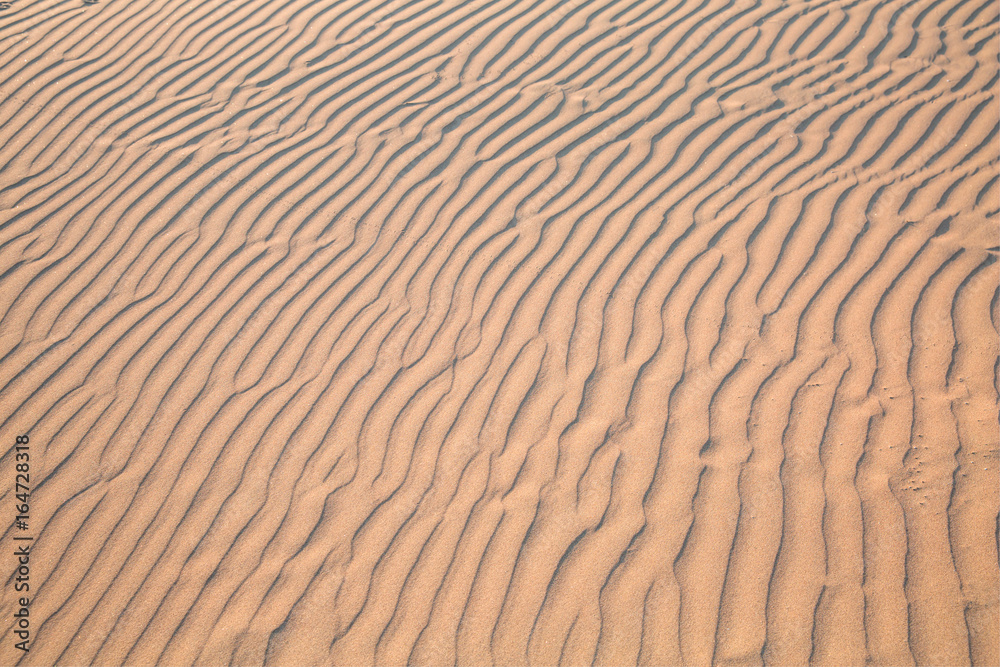 Sand Dune texture background Sand Dune texture background