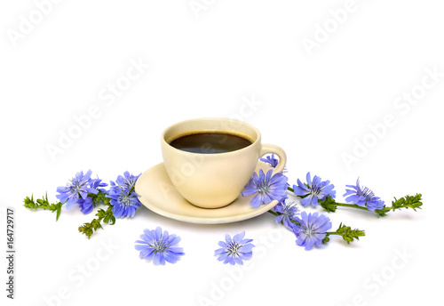 Cup of drink with chicory and flowers chicory (Cichorium intybus) on a white background
