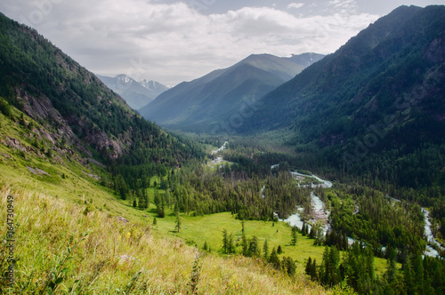 Mountain bright sunny valley with a river and a thick forest of pine trees with high  steep slopes  view from above Kucherla Altai Mountains Siberia  Russia