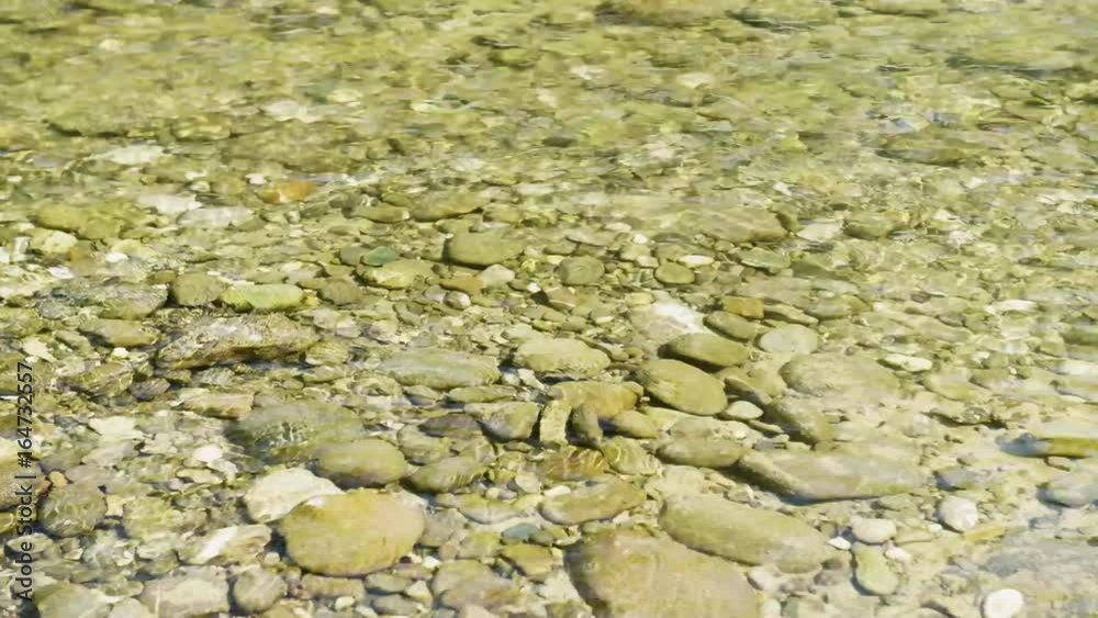 Stony river bed with transparent water, 4K Stony river bed with transparent water, 4K