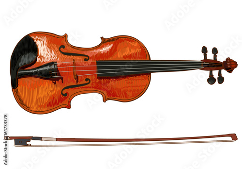 Violin detailed sketch, colored. VECTOR illustration