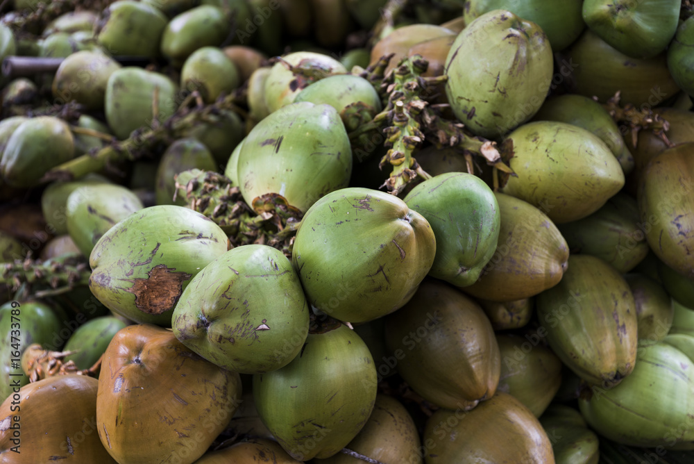 Closeup of green coconuts For Sell on Street in Coorg, Karnataka, India Closeup of green coconuts For Sell on Street in Coorg, Karnataka, India