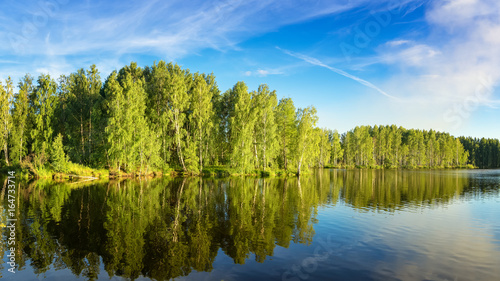 летний пейзаж на берегу реки Иртыш с лесом, Россия, Урал